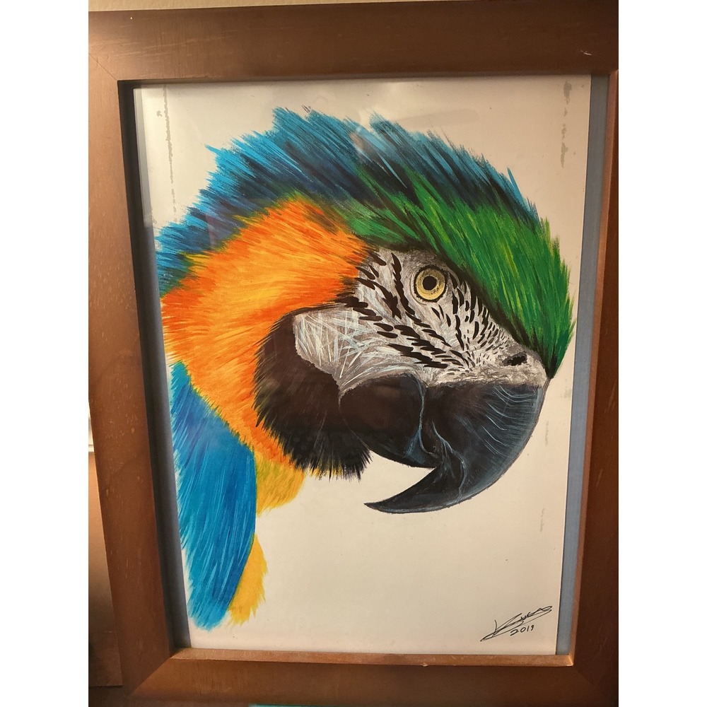 Signed 2019 Macaw Parrot Portrait Art on Kodak Film Framed 10x13 Tropical Bird - Picture 4 of 7